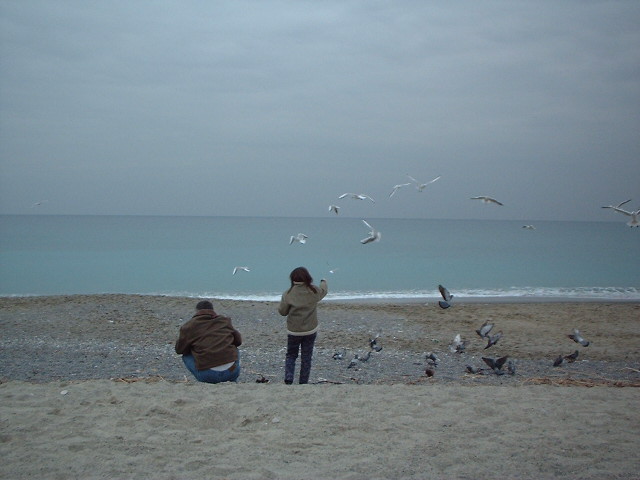 birds.jpg
