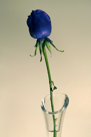 blu-small.jpg