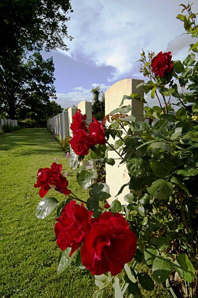 bolsenawarcemetery.jpg