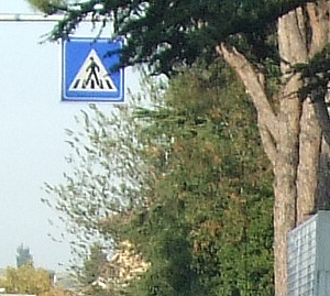 boxter crop cartello.jpg