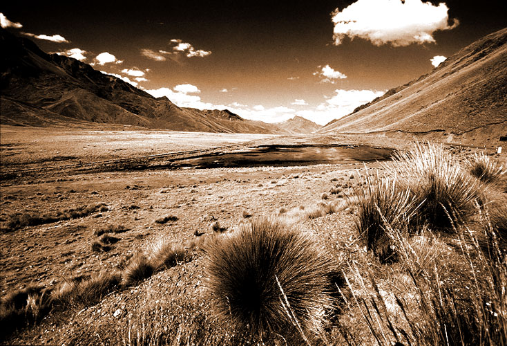 BW-Virato-Comp.jpg