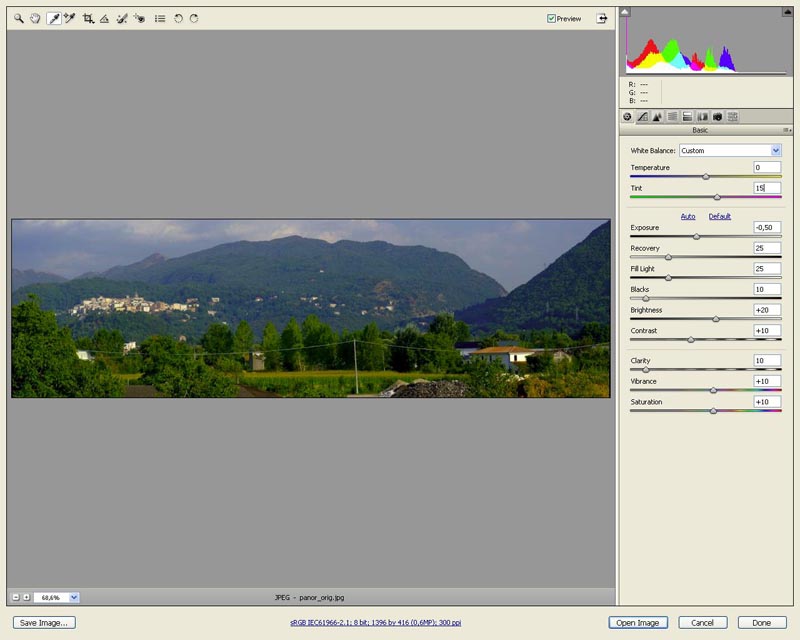 CameraRaw 4.1 - 01 small.jpg