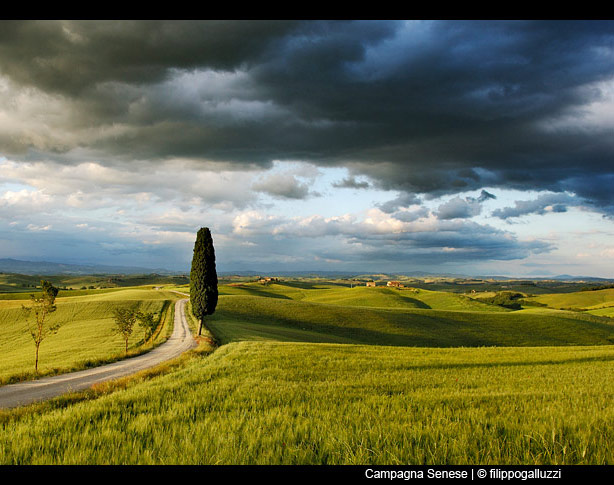 campagna-crop.jpg