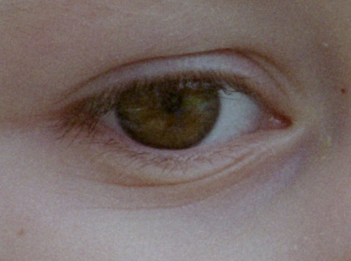 Canon-FD-135-f2,5-Crop100.jpg