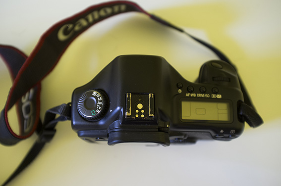 Canon5D_0006 copia.jpg