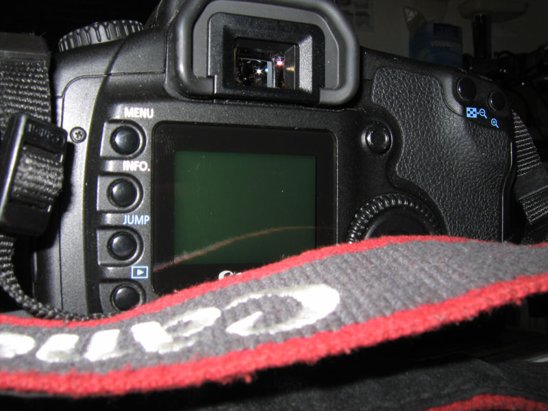 canon 20d.jpg