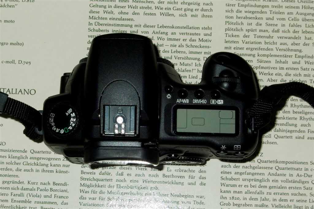 Canon_20D_up.jpg