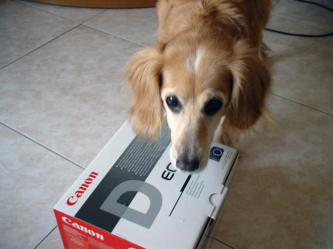 canon 3.jpg