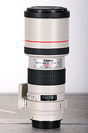 Canon 300 f4.jpg