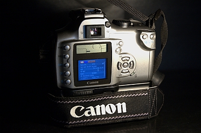 CANON 300D piccola.jpg