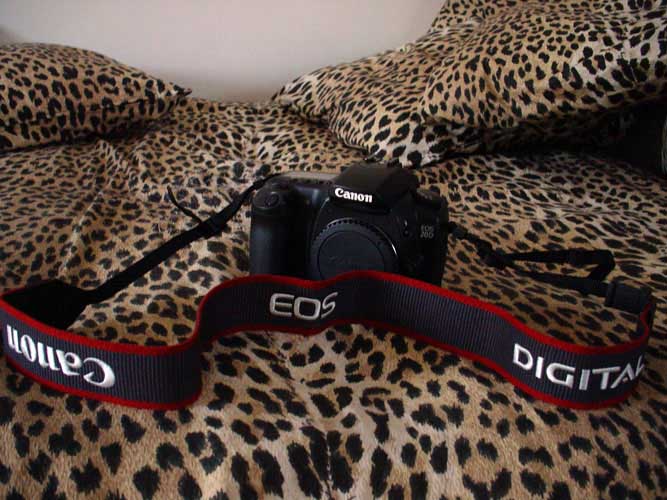 canon 4.jpg