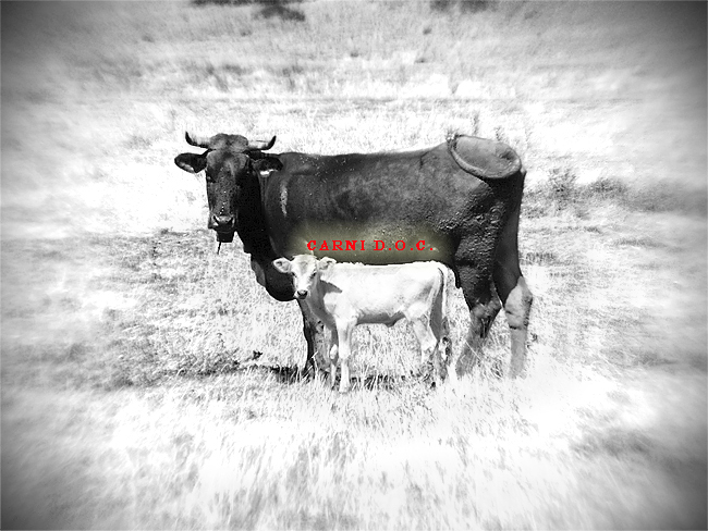 carni-d.o.c..jpg