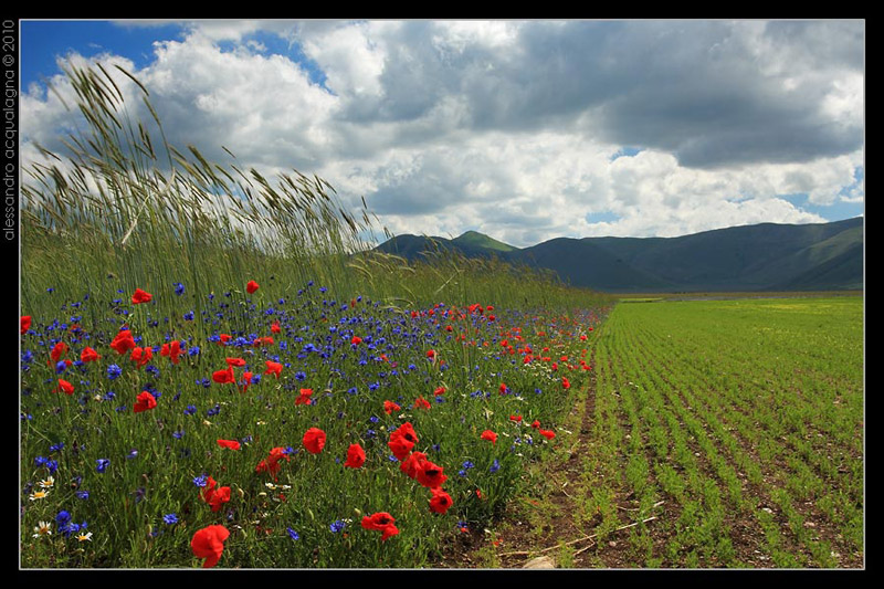 Castelluccio_005.jpg