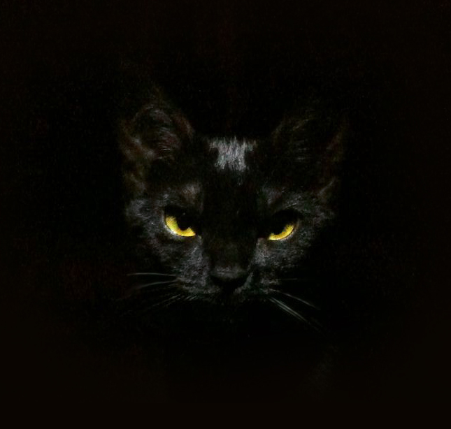 Cattura.JPG