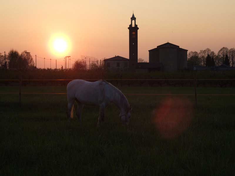 CavalloTramonto1.jpg
