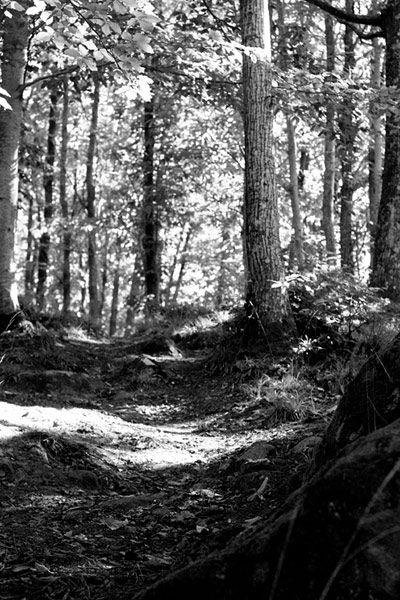 chiaroscuri.bn.jpg