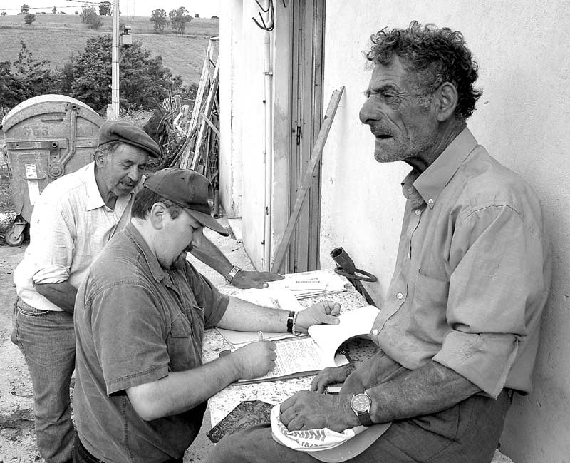 ciccillo-assorto.jpg