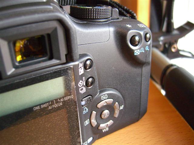 CIMG0091 (Small).JPG