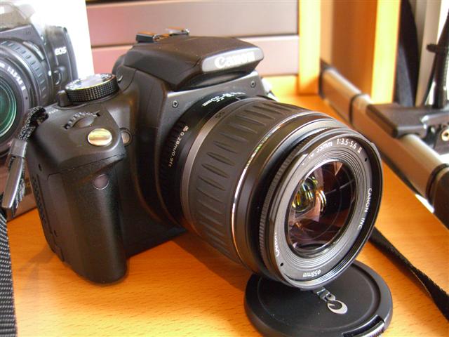 CIMG0093 (Small).JPG