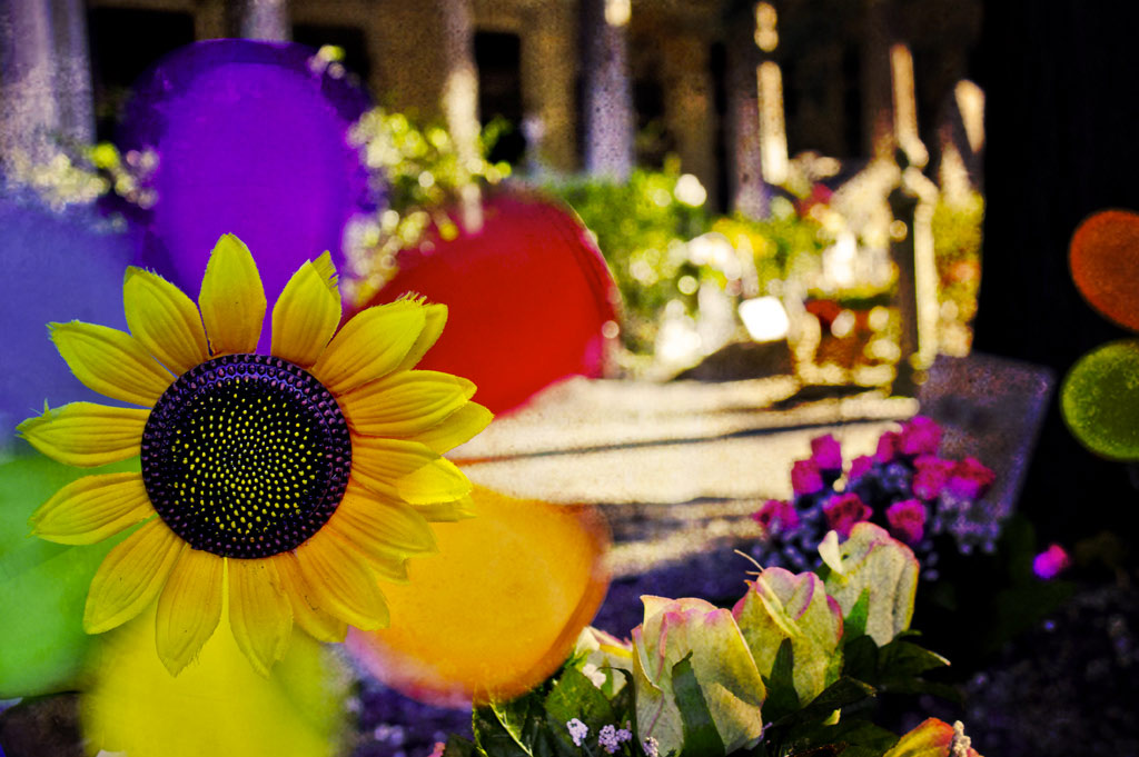 Cimitero-42.jpg