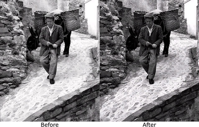ciuccio.jpg