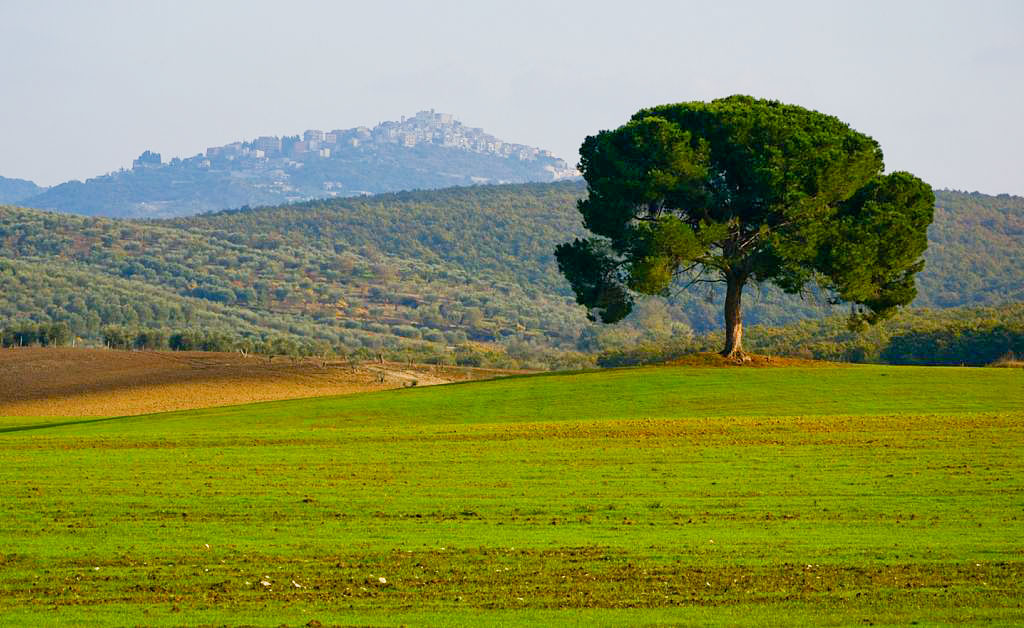 collina_1.jpg