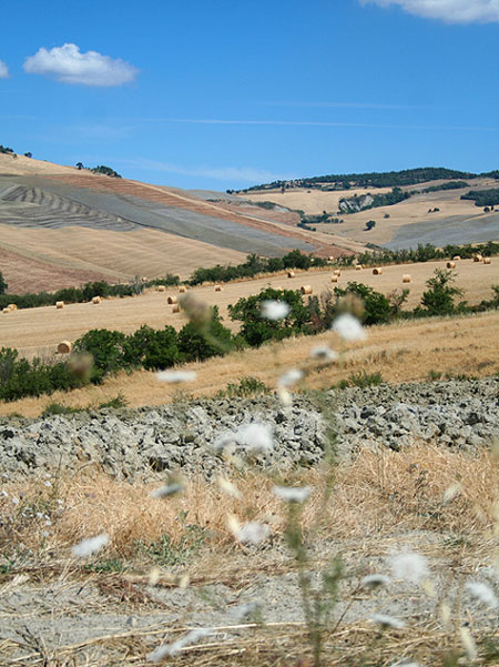 colline.jpg