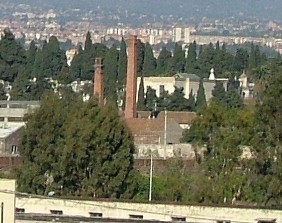 Copia di crop_fuji.jpg