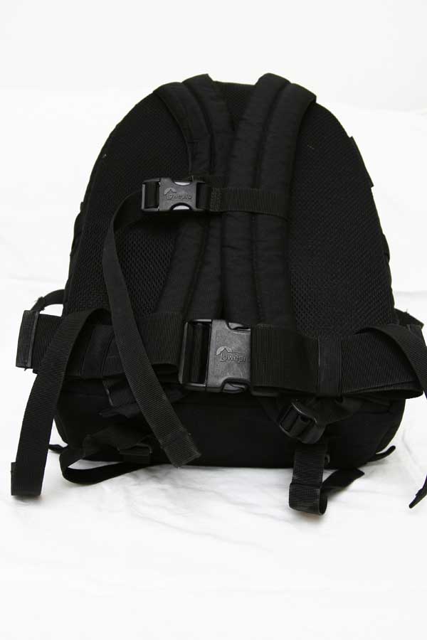 Copy of _MG_0036.JPG