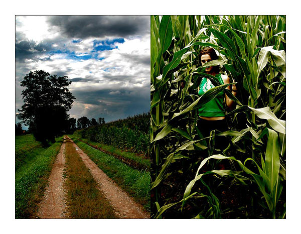 corn_dyptic.jpg
