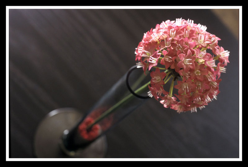 cose di casa mia_3.jpg