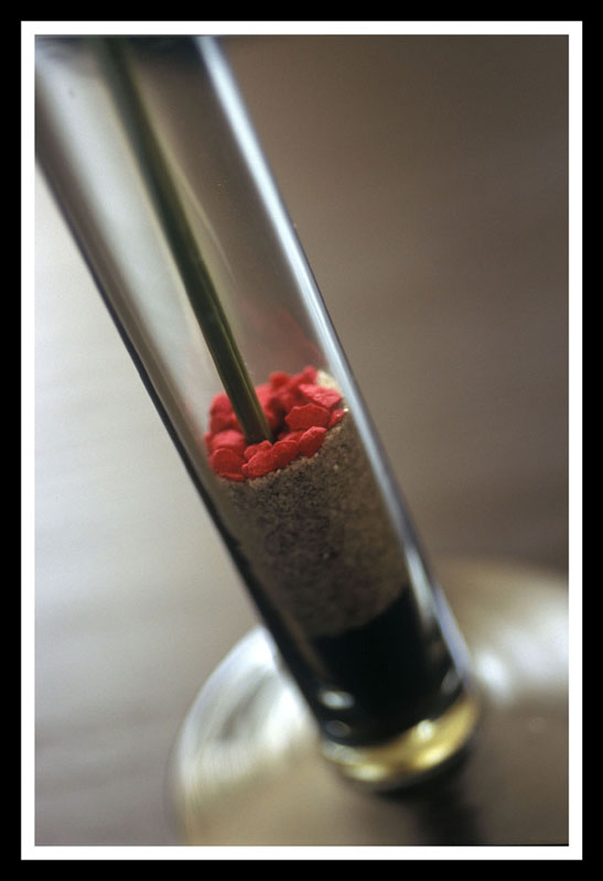 cose di casa mia_4.jpg