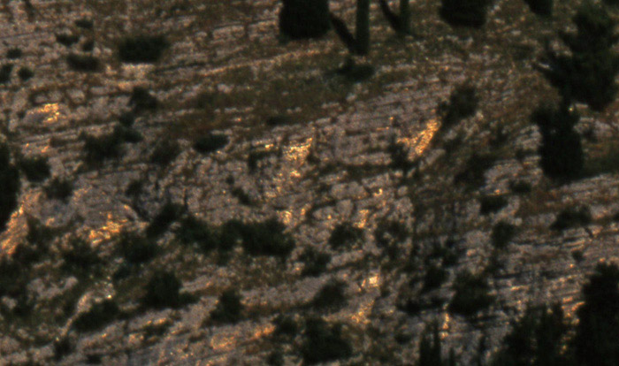 coste_crop.jpg