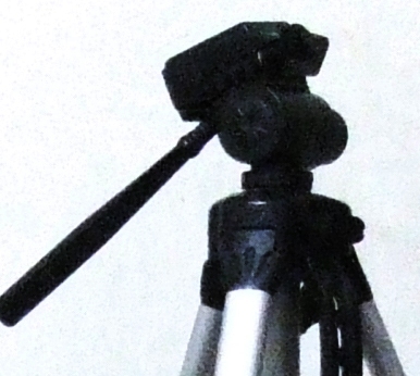 croop 1600 iso.JPG
