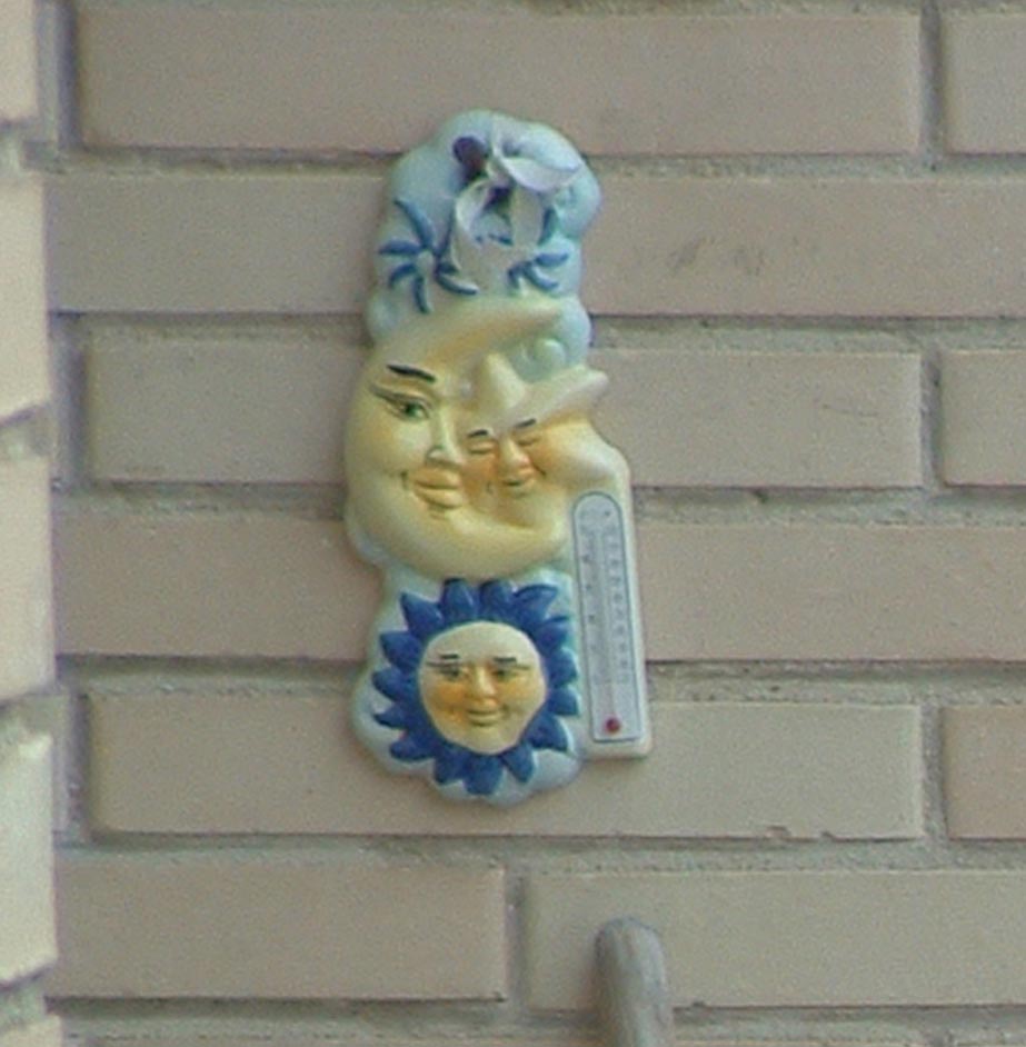 crop-304.jpg