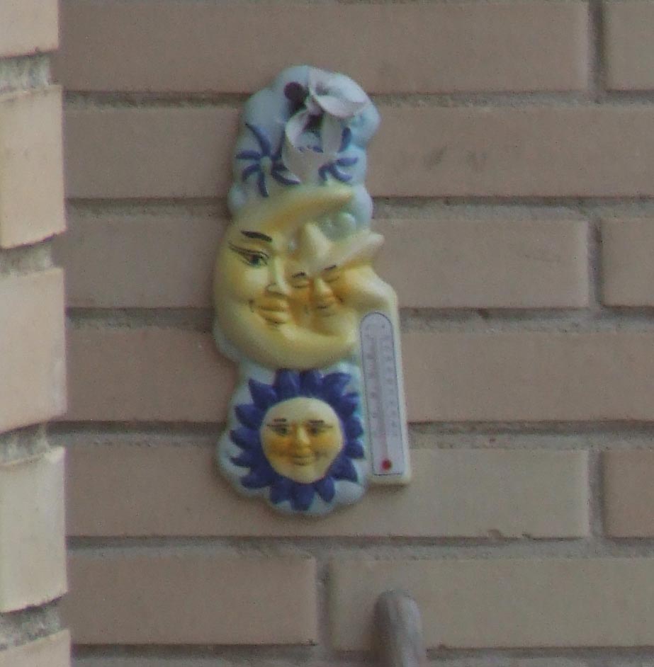 crop-9500.jpg