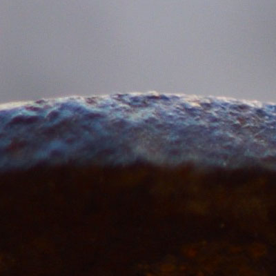crop1_macro.jpg