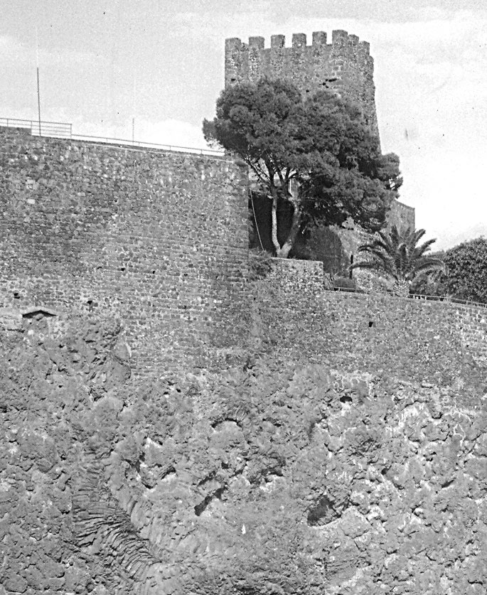 crop2-4x5.jpg