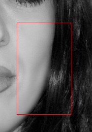 crop2.jpg