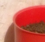 crop4.jpg