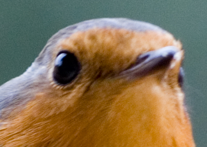 Crop 100%.jpg