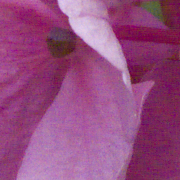 crop_1600iso.jpg