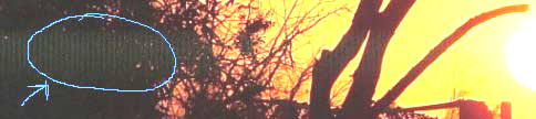 crop_169.jpg