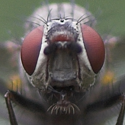 crop 1.jpg