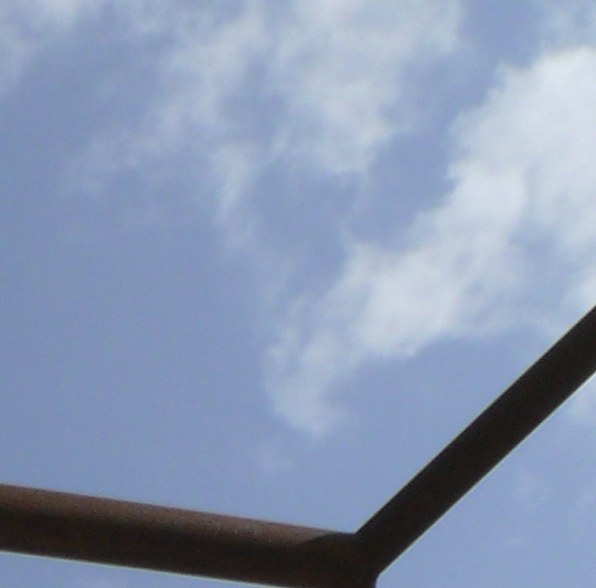crop 1.jpg