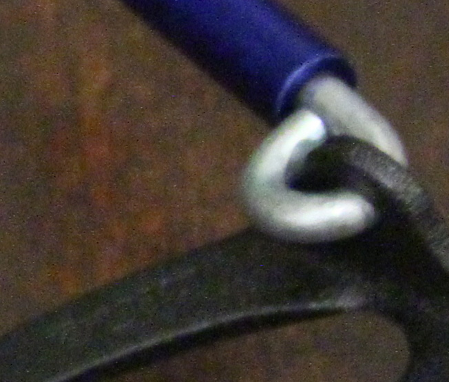 crop.jpg