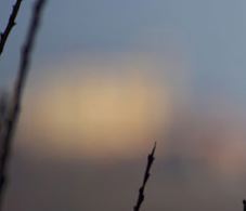 crop chiesa 300f2,8.jpg