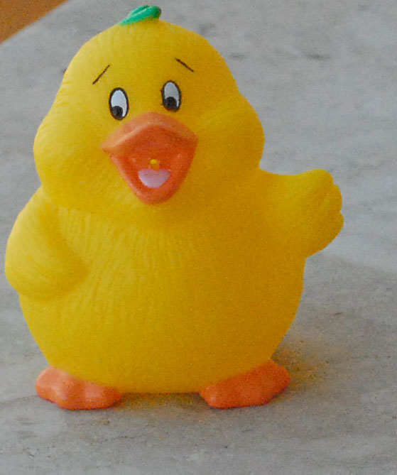 crop d200 1600 centro.jpg