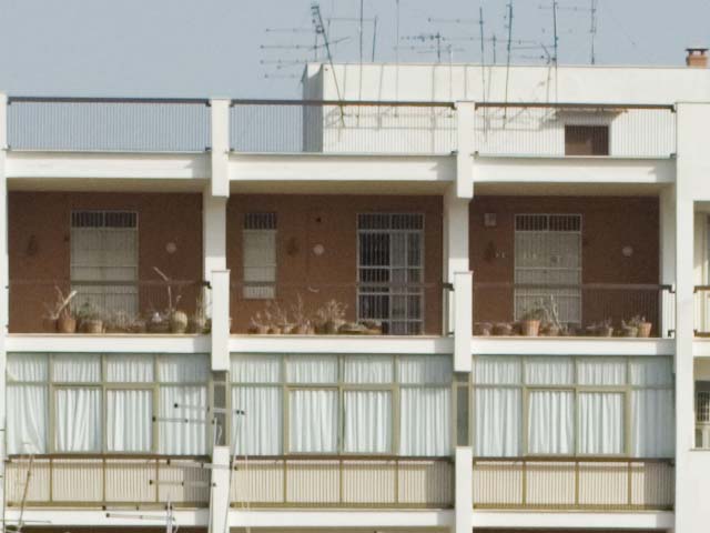 crop d200 normal sharpness.jpg