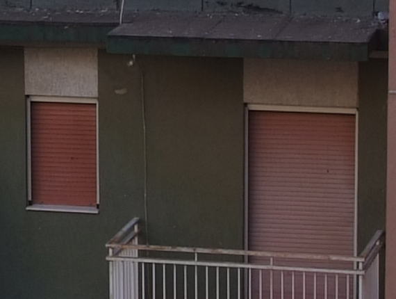 crop fuji s5pro.jpg